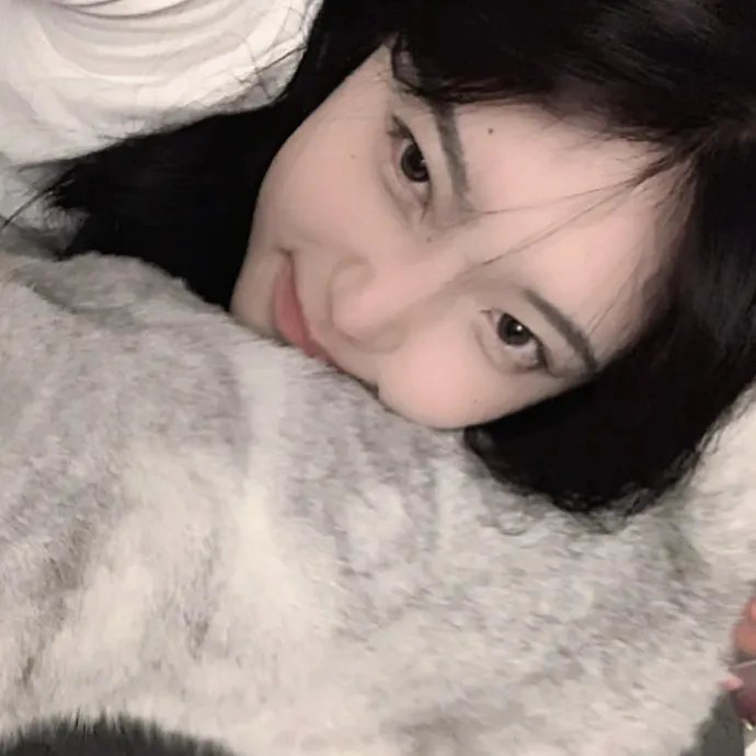 糊涂家族